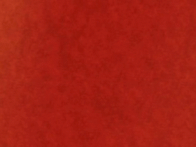 中国致公党中央副主席兼秘书长卢国懿会见非洲“一带一路”重点国家统促会联合访问团