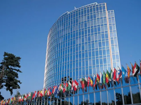 世界洪门组织(WHMO)成为联合国全球市场(UNGM)供应商——全球化背景下的战略转型与可持续发展实践